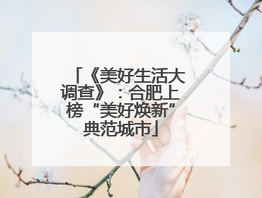 《美好生活大调查》：合肥上榜“美好焕新”典范城市