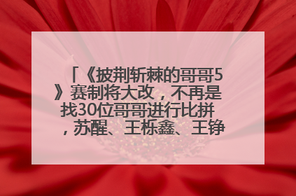 《披荆斩棘的哥哥5》赛制将大改，不再是找30位哥哥进行比拼，苏醒、王栎鑫、王铮亮、张远等多名男团选手被曝将参加