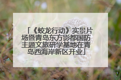 《蛟龙行动》实景片场暨青岛东方影都国防主题文旅研学基地在青岛西海岸新区开业