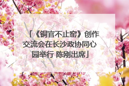 《铜官不止窑》创作交流会在长沙政协同心园举行 陈刚出席