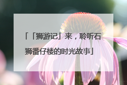 「狮游记」来，聆听石狮番仔楼的时光故事