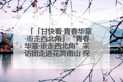 「甘快看·青春华章·重走西北角」“青春华章·重走西北角”采访团走进花舞南山 探寻天水乡村振兴之路