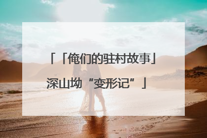 「俺们的驻村故事」深山坳“变形记”