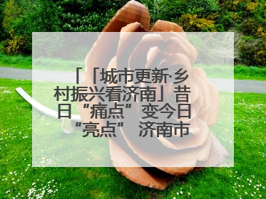 「城市更新·乡村振兴看济南」昔日“痛点”变今日“亮点” 济南市市中区上演城市更新“三部曲”