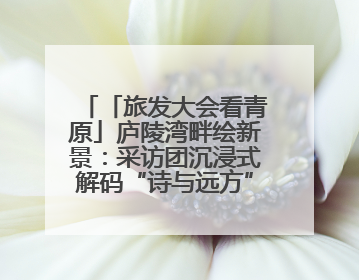 「旅发大会看青原」庐陵湾畔绘新景：采访团沉浸式解码“诗与远方”（图）