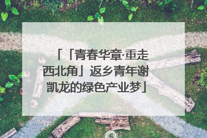 「青春华章·重走西北角」返乡青年谢凯龙的绿色产业梦
