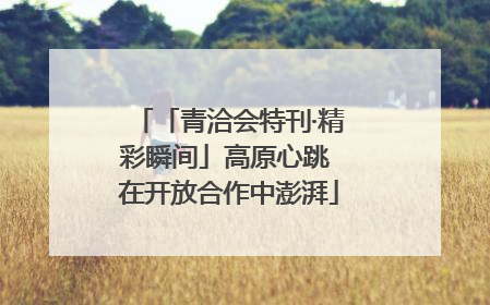 「青洽会特刊·精彩瞬间」高原心跳 在开放合作中澎湃