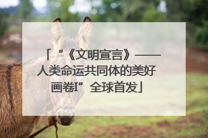 “《文明宣言》——人类命运共同体的美好画卷I”全球首发