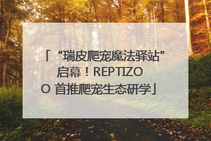 “瑞皮爬宠魔法驿站” 启幕！REPTIZOO 首推爬宠生态研学