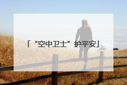 “空中卫士”护平安