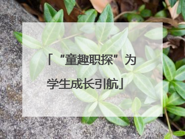 “童趣职探”为学生成长引航