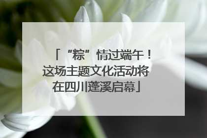 “粽”情过端午！这场主题文化活动将在四川蓬溪启幕