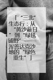“三北”生态行：从“黄沙蔽日”到“绿毯铺野”——浑善达克沙地的“绿色重生”