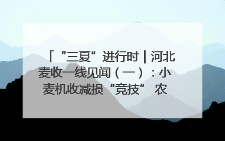 “三夏”进行时｜河北麦收一线见闻（一）：小麦机收减损“竞技” 农机高手麦田“过招”