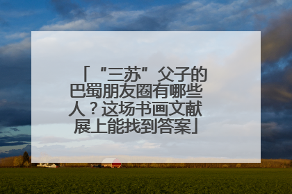 “三苏”父子的巴蜀朋友圈有哪些人？这场书画文献展上能找到答案