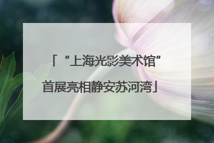 “上海光影美术馆”首展亮相静安苏河湾