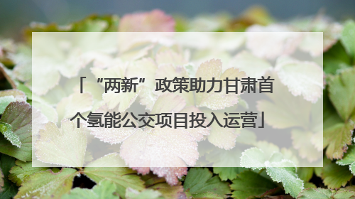 “两新”政策助力甘肃首个氢能公交项目投入运营