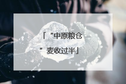 “中原粮仓”麦收过半