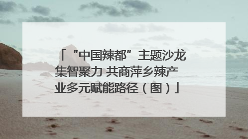 “中国辣都”主题沙龙集智聚力 共商萍乡辣产业多元赋能路径（图）