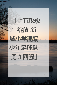 “五玫瑰”绽放 新城小学混编少年足球队勇夺四强