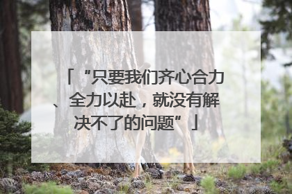 “只要我们齐心合力、全力以赴，就没有解决不了的问题”