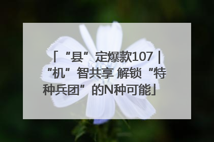 “县”定爆款107｜“机”智共享 解锁“特种兵团”的N种可能