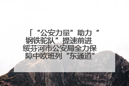“公安力量”助力“钢铁驼队”提速前进 绥芬河市公安局全力保障中欧班列“东通道”绥芬河隧道贯通