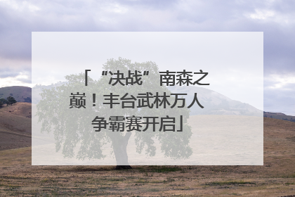 “决战”南森之巅！丰台武林万人争霸赛开启