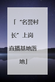 “名誉村长”上岗 直播基地落地