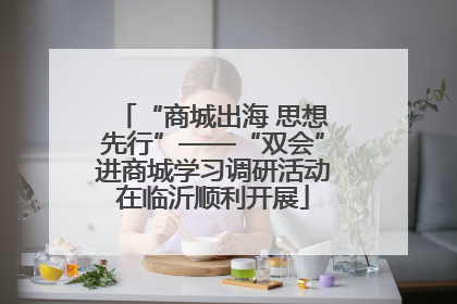 “商城出海 思想先行”——“双会”进商城学习调研活动在临沂顺利开展
