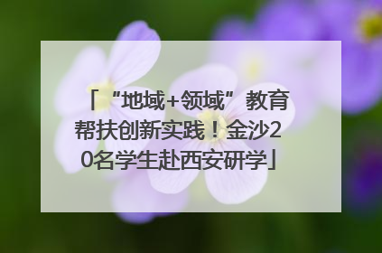 “地域+领域”教育帮扶创新实践！金沙20名学生赴西安研学