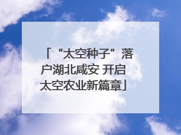 “太空种子”落户湖北咸安 开启太空农业新篇章