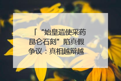 “始皇遣使采药昆仑石刻”陷真假争议：真相越辩越明｜新京报专栏