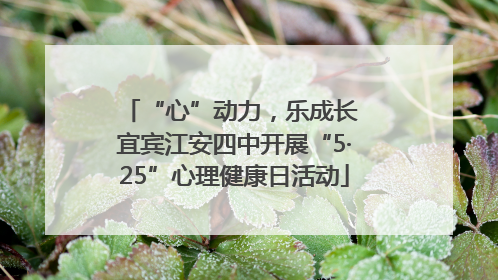 “心”动力，乐成长 宜宾江安四中开展“5·25”心理健康日活动