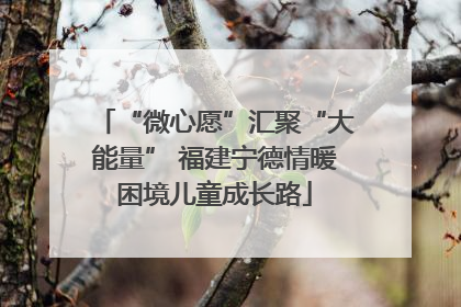“微心愿”汇聚“大能量” 福建宁德情暖困境儿童成长路