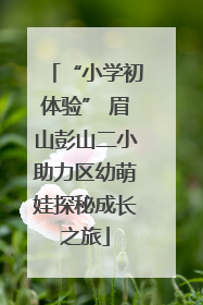 “小学初体验” 眉山彭山二小助力区幼萌娃探秘成长之旅