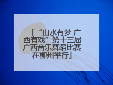 “山水有梦 广西有戏”第十三届广西音乐舞蹈比赛在柳州举行
