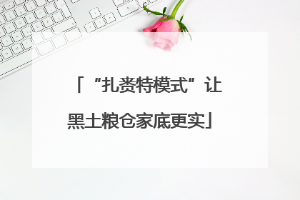 “扎赉特模式”让黑土粮仓家底更实
