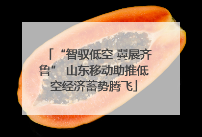 “智驭低空 翼展齐鲁” 山东移动助推低空经济蓄势腾飞