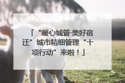 “暖心城管·美好宿迁”城市精细管理“十项行动”来啦!
