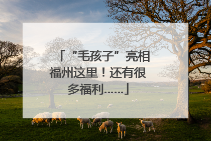 “毛孩子”亮相福州这里！还有很多福利……