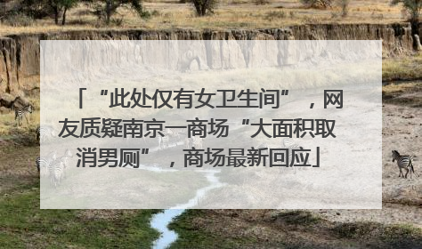 “此处仅有女卫生间”，网友质疑南京一商场“大面积取消男厕”，商场最新回应