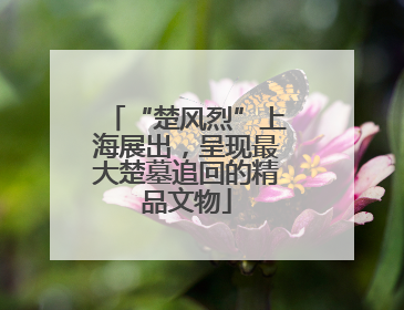 “楚风烈”上海展出，呈现最大楚墓追回的精品文物