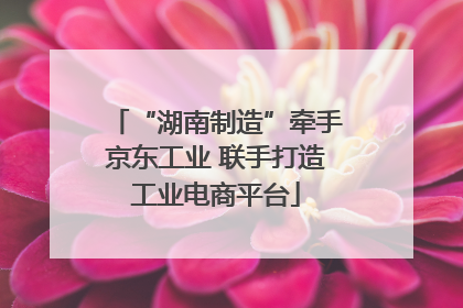 “湖南制造”牵手京东工业 联手打造工业电商平台