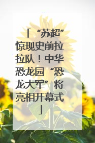 “苏超”惊现史前拉拉队！中华恐龙园“恐龙大军”将亮相开幕式
