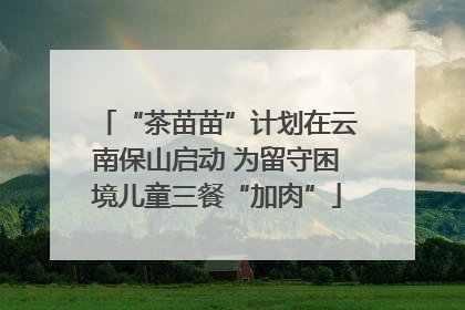 “茶苗苗”计划在云南保山启动 为留守困境儿童三餐“加肉”