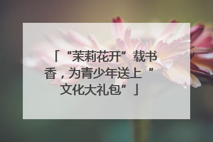 “茉莉花开”载书香，为青少年送上“文化大礼包”