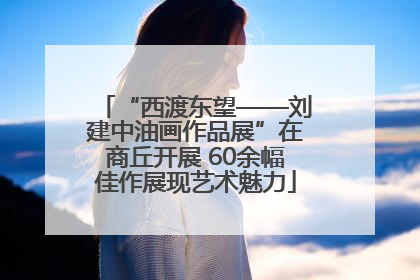 “西渡东望——刘建中油画作品展”在商丘开展 60余幅佳作展现艺术魅力
