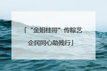 “金姐桂哥”传粽艺 企民同心助残行