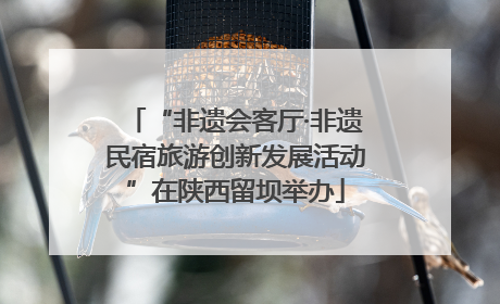 “非遗会客厅·非遗民宿旅游创新发展活动”在陕西留坝举办